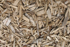 biomass boilers Milwr